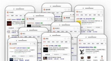 卡地亞、寶格麗、LV等奢侈品牌如何借移動搜索拓展市場邊界？