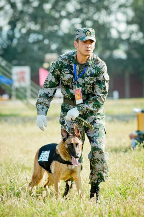 電視劇《神犬奇兵》全集劇照-風尚娛樂http://news.fengsung.com/yule/