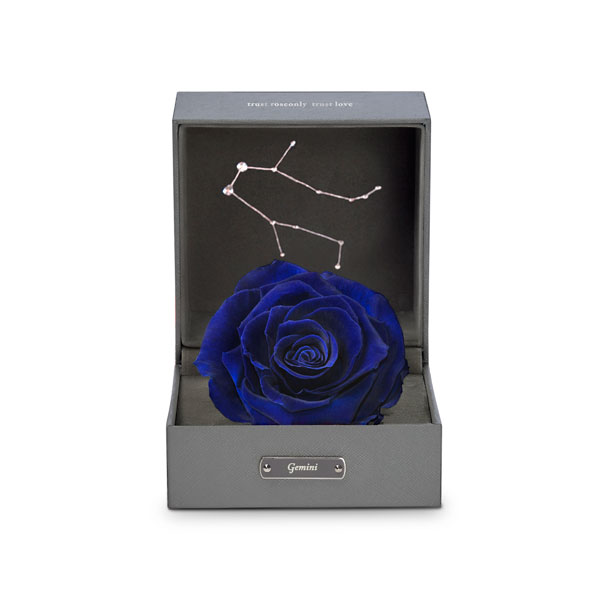 roseonly甄選父親節(jié)禮物 用玫瑰致意如山父愛(ài)