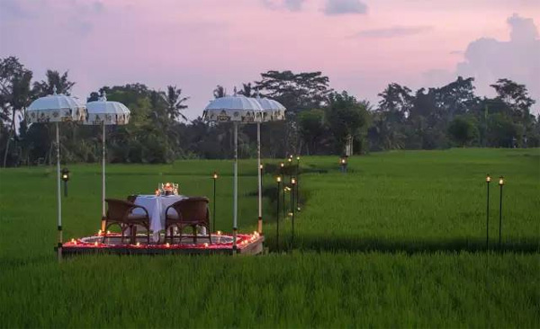 巴厘島烏布塔娜伽嘉Chedi Club，文青范度假