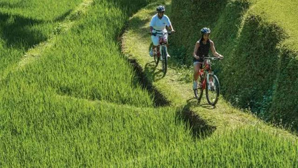 巴厘島雙四季酒店度假體驗，山妍＋金巴蘭灣