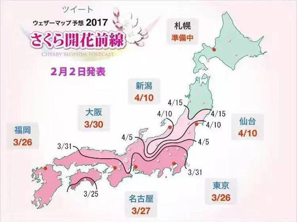  日本賞櫻倒計時，錯過只能等明年！