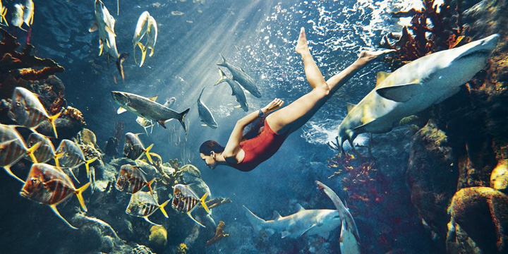 Rihanna《Harper’s Bazaar》美國版2015年3月號