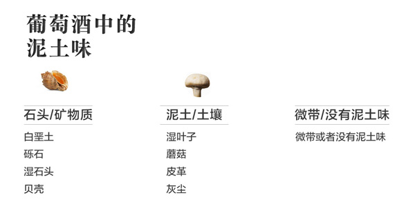 葡萄酒香氣，是神馬還是浮云？