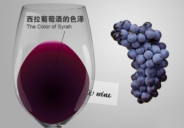 美酒課堂：如何飲用西拉葡萄酒？