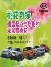 靚車配桃花  建國(guó)起亞邀您浪漫之旅