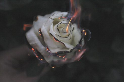 紅玫瑰和白玫瑰？不如來(lái)款黑科技飛機(jī)杯吧！
