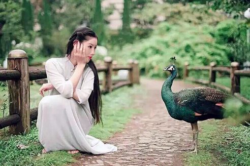 孫思晗美才女河南創(chuàng)業(yè)，上善若水人力資源、慈善基金雙落地！