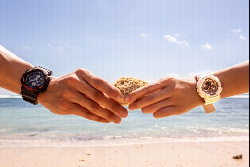 Enjoy your Summer,SUMMER LOVERS系列新款對表強(qiáng)勢出鏡！