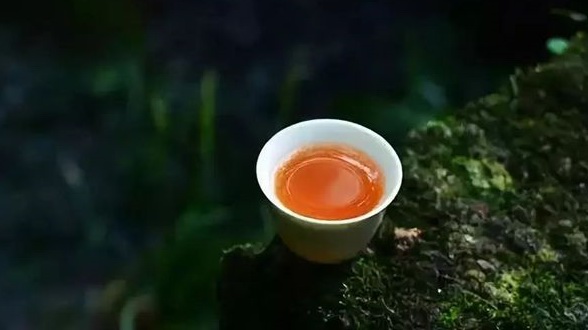 這么美的茶語，哪句讓你動容？ 
