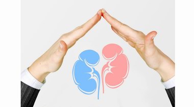 補腎精抗衰老系列談——生殖系統(tǒng)衰老不能指望西藥