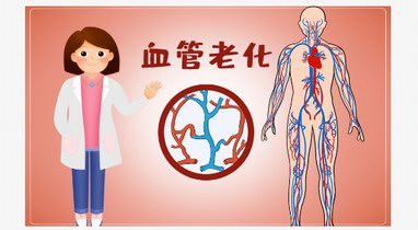 阻止血管老化，抓住抗衰老的關(guān)鍵問題