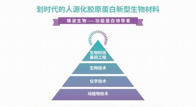 人源化III型膠原蛋白，重組護(hù)膚領(lǐng)域新格局