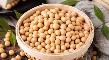 運動減脂人群，為什么對大豆蛋白“情有獨鐘”？
