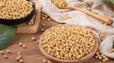 大豆蛋白是智商稅嗎？動物蛋白和植物蛋白哪個更好？