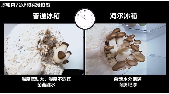 極限實(shí)驗(yàn)室發(fā)起保鮮挑戰(zhàn)，海爾冰箱完勝