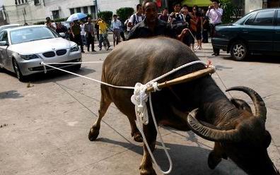 百萬(wàn)寶馬車“問題”連連_寶馬質(zhì)量_寶馬質(zhì)量差