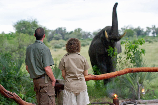 Wilderness Safaris 推出博茨瓦納全新?tīng)I(yíng)地Little Tubu